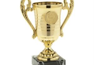Pokal